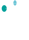 Coaching and Consulting - logo 2023 - footer